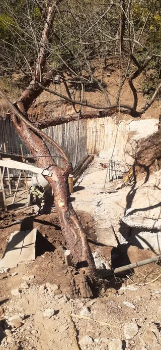 Avance de obra del 30/01/2026 — foto 3
